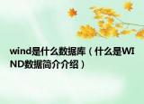 wind是什么數(shù)據(jù)庫（什么是WIND數(shù)據(jù)簡介介紹）
