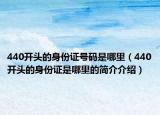 440開(kāi)頭的身份證號(hào)碼是哪里（440開(kāi)頭的身份證是哪里的簡(jiǎn)介介紹）