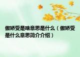 傲嬌受是啥意思是什么（傲嬌受是什么意思簡介介紹）