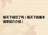 楊天下成功了嗎（楊天下的基本信息簡(jiǎn)介介紹）