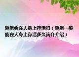 跳蚤會在人身上存活嗎（跳蚤一般能在人身上存活多久簡介介紹）