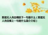 野渡無人舟自橫的下一句是什么（野渡無人舟自橫上一句是什么簡介介紹）