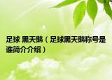 足球 黑天鵝（足球黑天鵝稱號(hào)是誰簡(jiǎn)介介紹）