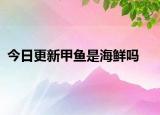 今日更新甲魚是海鮮嗎