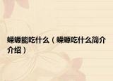 蠑螈能吃什么（蠑螈吃什么簡介介紹）