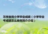 怎樣查詢小學(xué)畢業(yè)成績(jī)（小學(xué)畢業(yè)考成績(jī)?cè)趺床樵兒?jiǎn)介介紹）
