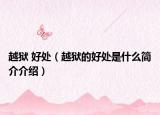 越獄 好處（越獄的好處是什么簡介介紹）