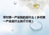 農(nóng)村第一產(chǎn)業(yè)指的是什么（鄉(xiāng)村第一產(chǎn)業(yè)是什么簡(jiǎn)介介紹）