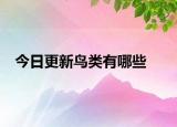 今日更新鳥(niǎo)類(lèi)有哪些