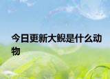 今日更新大鯢是什么動物