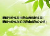 重陽(yáng)節(jié)登高是指爬山嗎螞蟻莊園（重陽(yáng)節(jié)登高指的是爬山嗎簡(jiǎn)介介紹）