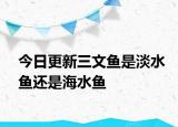 今日更新三文魚是淡水魚還是海水魚