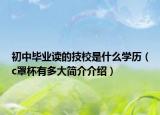 初中畢業(yè)讀的技校是什么學歷（c罩杯有多大簡介介紹）