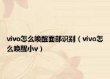vivo怎么喚醒面部識(shí)別（vivo怎么喚醒小v）