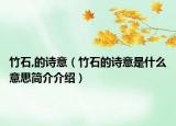 竹石,的詩意（竹石的詩意是什么意思簡(jiǎn)介介紹）
