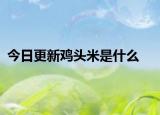 今日更新雞頭米是什么