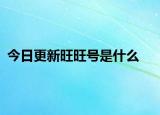 今日更新旺旺號是什么