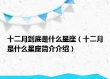 十二月到底是什么星座（十二月是什么星座簡(jiǎn)介介紹）