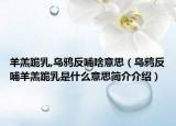 羊羔跪乳,烏鴉反哺啥意思（烏鴉反哺羊羔跪乳是什么意思簡(jiǎn)介介紹）
