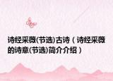 詩(shī)經(jīng)采薇(節(jié)選)古詩(shī)（詩(shī)經(jīng)采薇的詩(shī)意(節(jié)選)簡(jiǎn)介介紹）
