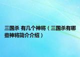 三國(guó)殺 有幾個(gè)神將（三國(guó)殺有哪些神將簡(jiǎn)介介紹）