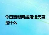今日更新網(wǎng)絡用語天菜是什么