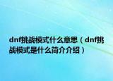 dnf挑戰(zhàn)模式什么意思（dnf挑戰(zhàn)模式是什么簡(jiǎn)介介紹）