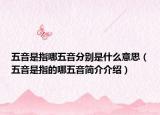 五音是指哪五音分別是什么意思（五音是指的哪五音簡(jiǎn)介介紹）