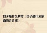白子是什么食材（白子是什么東西簡介介紹）