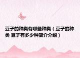 豆子的種類有哪些種類（豆子的種類 豆子有多少種簡介介紹）