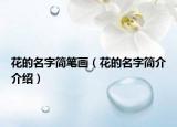 花的名字簡(jiǎn)筆畫(huà)（花的名字簡(jiǎn)介介紹）