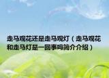 走馬觀花還是走馬觀燈（走馬觀花和走馬燈是一回事嗎簡介介紹）