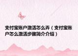 支付寶賬戶激活怎么弄（支付寶賬戶怎么激活步驟簡介介紹）