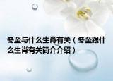 冬至與什么生肖有關(guān)（冬至跟什么生肖有關(guān)簡(jiǎn)介介紹）