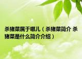 殺豬菜屬于哪兒（殺豬菜簡(jiǎn)介 殺豬菜是什么簡(jiǎn)介介紹）
