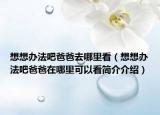 想想辦法吧爸爸去哪里看（想想辦法吧爸爸在哪里可以看簡(jiǎn)介介紹）