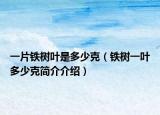 一片鐵樹葉是多少克（鐵樹一葉多少克簡介介紹）