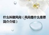什么叫做風(fēng)向（風(fēng)向是什么意思簡介介紹）