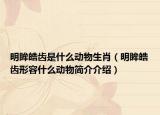 明眸皓齒是什么動物生肖（明眸皓齒形容什么動物簡介介紹）