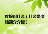 度娘叫什么（什么是度娘簡介介紹）