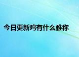 今日更新雞有什么雅稱
