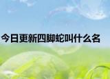 今日更新四腳蛇叫什么名
