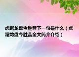 虎踞龍盤(pán)今勝昔下一句是什么（虎踞龍盤(pán)今勝昔全文簡(jiǎn)介介紹）