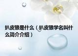 扒皮狼是什么（扒皮狼學名叫什么簡介介紹）
