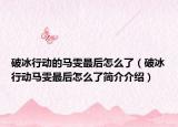 破冰行動(dòng)的馬雯最后怎么了（破冰行動(dòng)馬雯最后怎么了簡(jiǎn)介介紹）