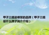 甲子三組是哪里的品牌（甲子三組是什么牌子簡介介紹）