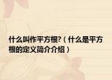 什么叫作平方根?（什么是平方根的定義簡介介紹）