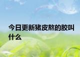 今日更新豬皮熬的膠叫什么