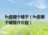 fn是哪個(gè)鍵子（fn是哪個(gè)鍵簡(jiǎn)介介紹）