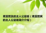 煮豆燃及的主人公是誰(shuí)（煮豆燃萁的主人公是誰(shuí)簡(jiǎn)介介紹）